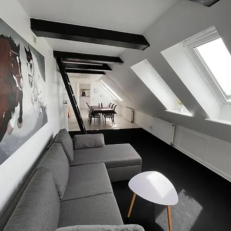 Stor Rummelig Med Egen P-plads Apartment *